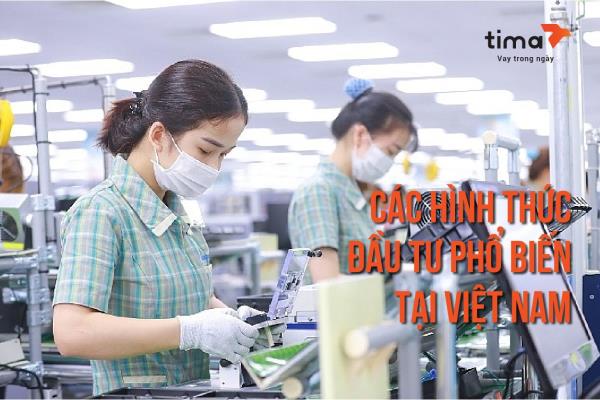 các hình thức đầu tư phổ biến tại Việt Nam
